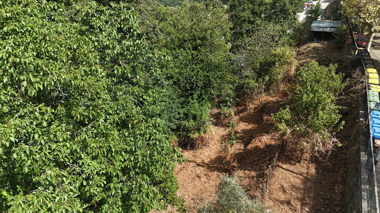 Vue drone du terrain en bordure de route