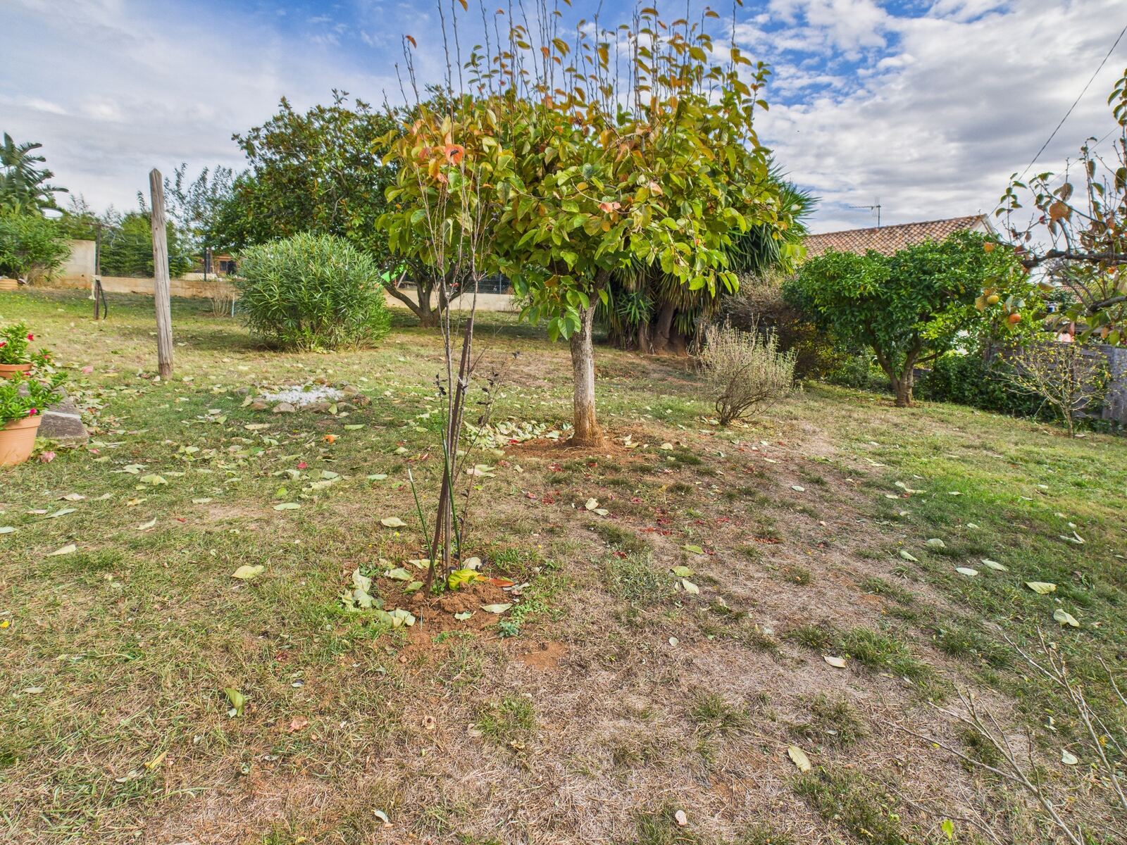 Jardin